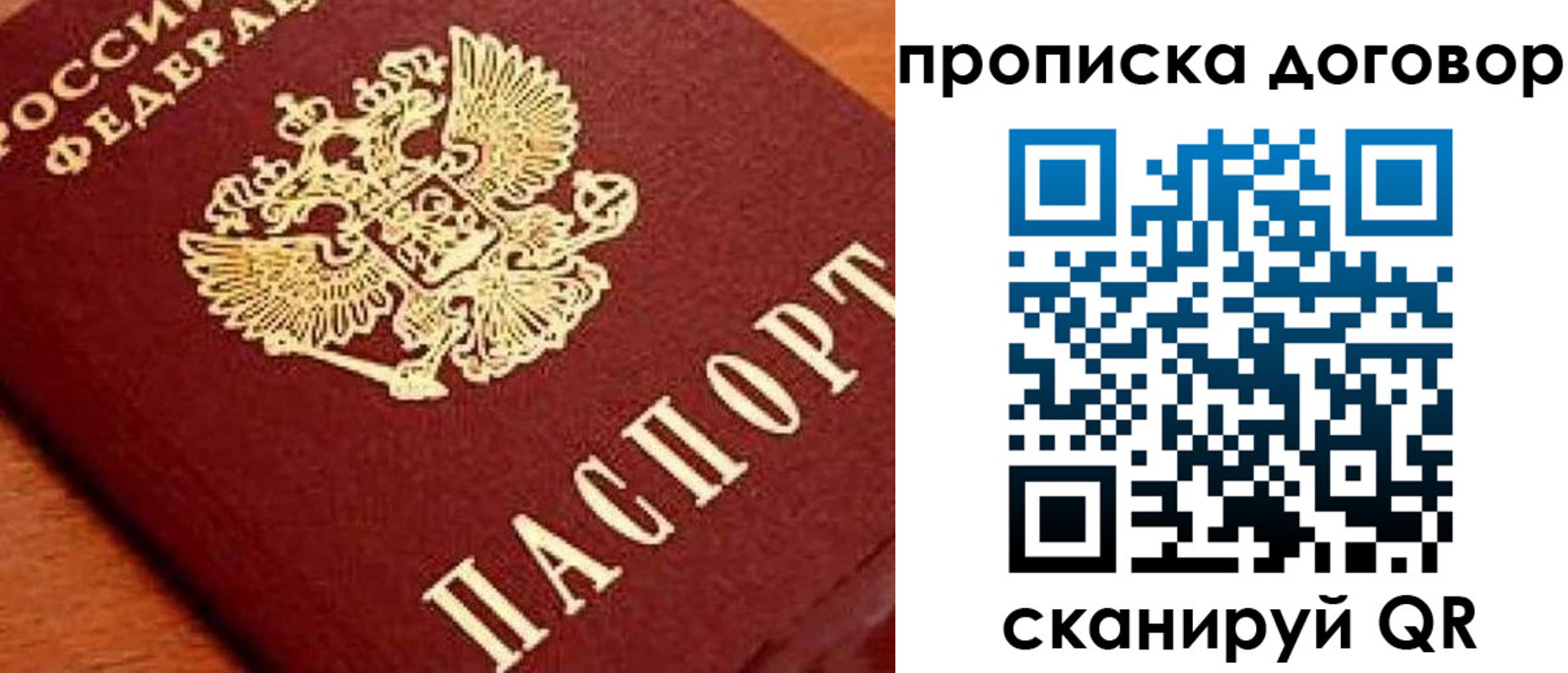 прописка поиск в Фролово
